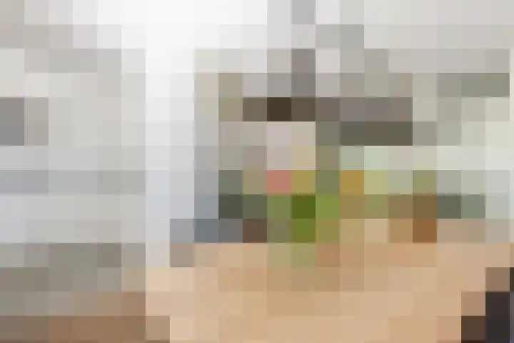 de Zeilen 4 Oirschot thumbnail 14