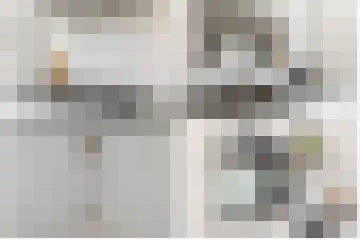 de Zeilen 4 Oirschot thumbnail 16