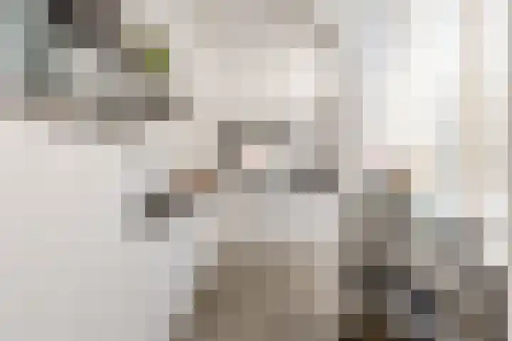 de Zeilen 4 Oirschot thumbnail 17
