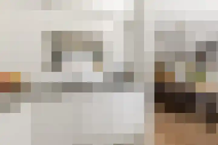 de Zeilen 4 Oirschot thumbnail 18