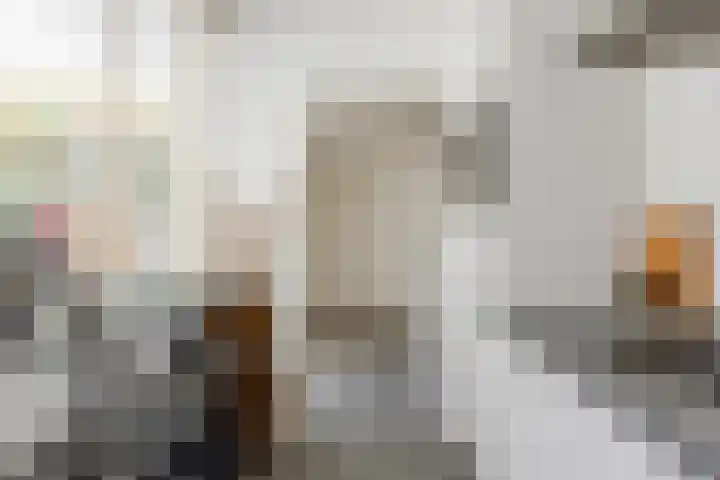 de Zeilen 4 Oirschot thumbnail 20