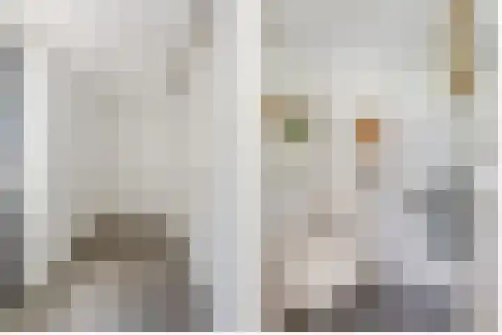de Zeilen 4 Oirschot thumbnail 21