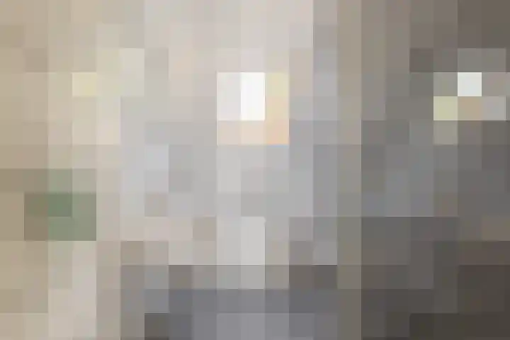 de Zeilen 4 Oirschot thumbnail 26