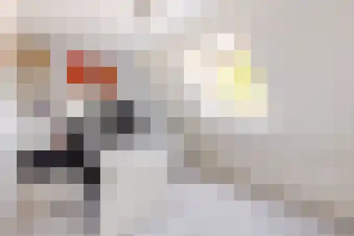 de Zeilen 4 Oirschot thumbnail 29