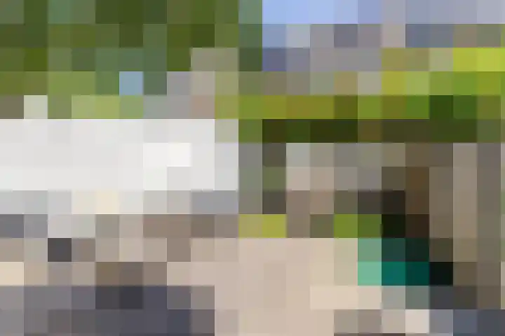 de Zeilen 4 Oirschot thumbnail 31