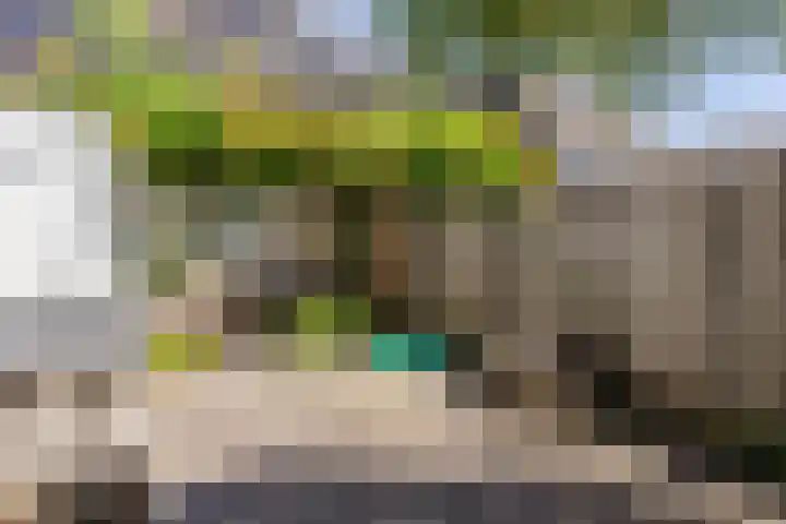 de Zeilen 4 Oirschot thumbnail 32