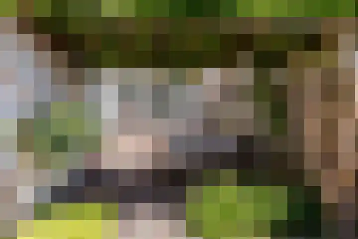 de Zeilen 4 Oirschot thumbnail 33