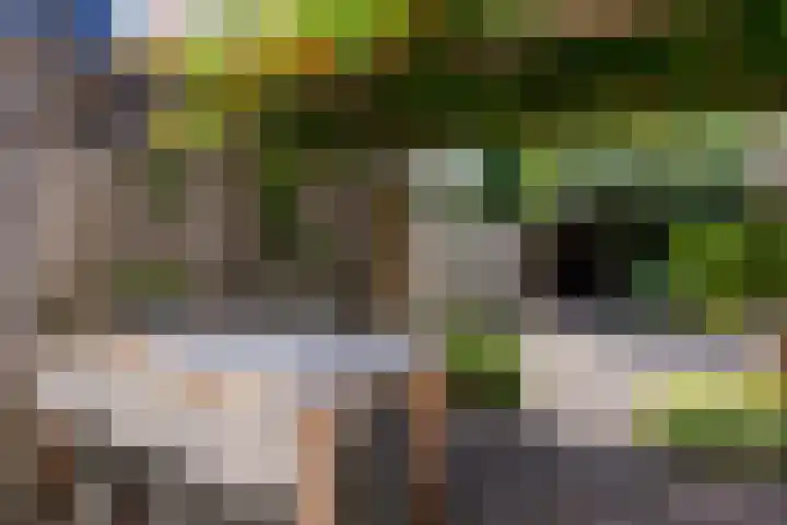 de Zeilen 4 Oirschot thumbnail 34
