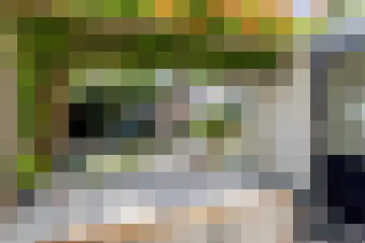 de Zeilen 4 Oirschot thumbnail 35