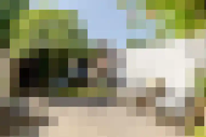 de Zeilen 4 Oirschot thumbnail 36