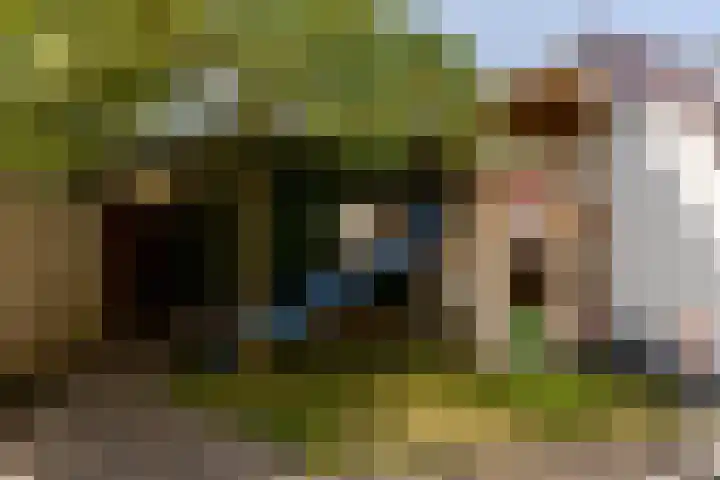 de Zeilen 4 Oirschot thumbnail 37