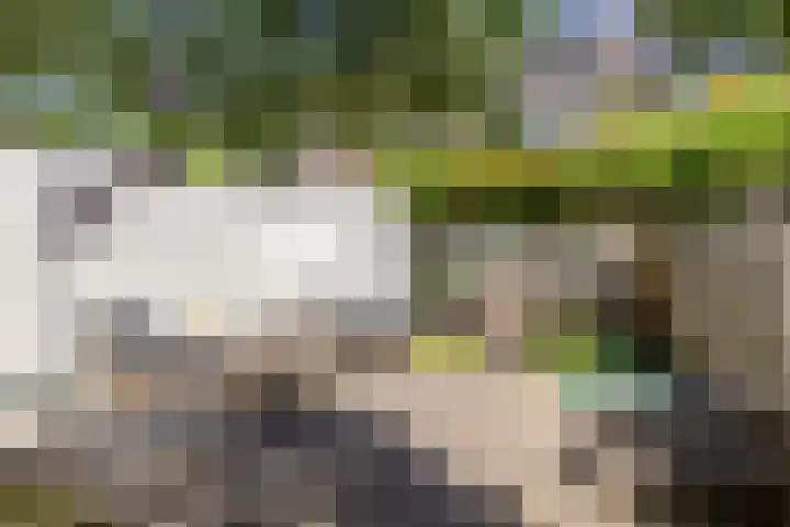 de Zeilen 4 Oirschot thumbnail 39