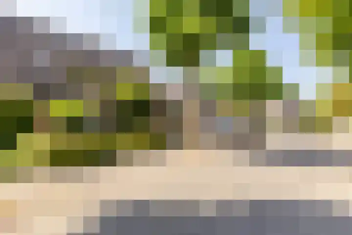 de Zeilen 4 Oirschot thumbnail 40