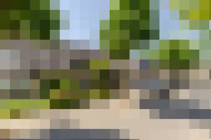 de Zeilen 4 Oirschot thumbnail 41