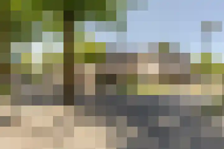 de Zeilen 4 Oirschot thumbnail 42