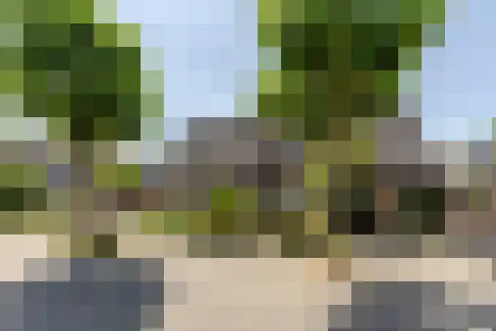 de Zeilen 4 Oirschot thumbnail 5