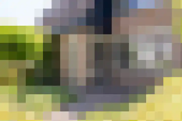 de Zeilen 4 Oirschot thumbnail 6