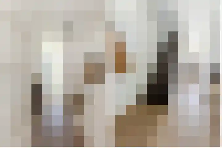 de Zeilen 4 Oirschot thumbnail 7