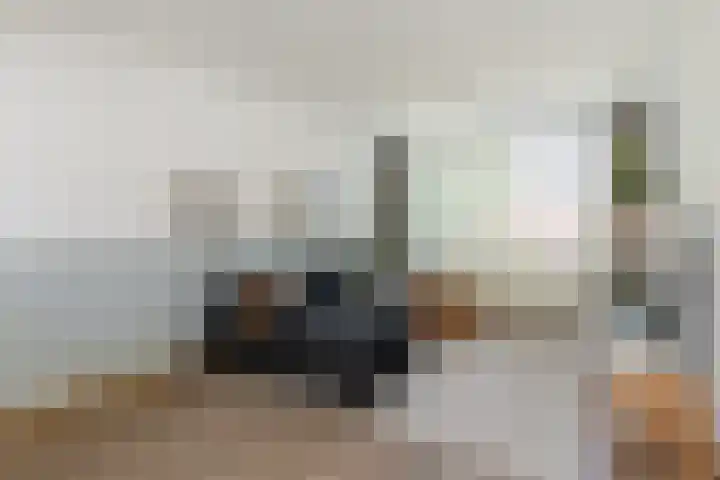 de Zeilen 4 Oirschot thumbnail 8