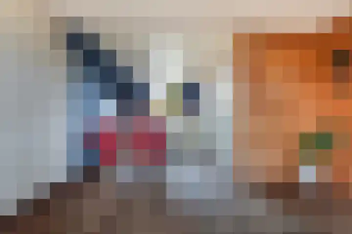 De Zeilen 57 Buitenpost thumbnail 12