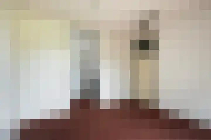 De Zeilen 57 Buitenpost thumbnail 19