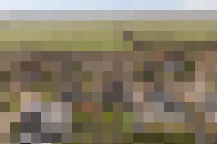 De Zeilen 57 Buitenpost foto 2