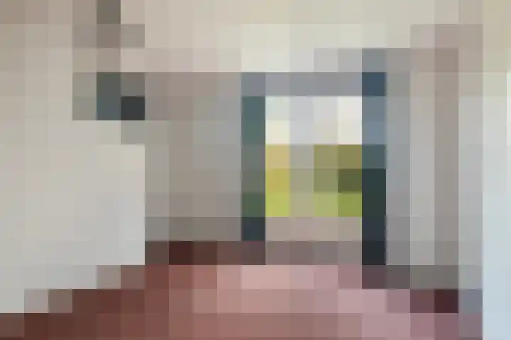 De Zeilen 57 Buitenpost thumbnail 20