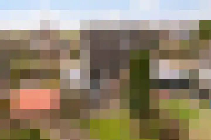 De Zeilen 57 Buitenpost foto 3