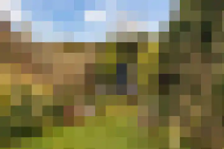 De Zeilen 57 Buitenpost thumbnail 41