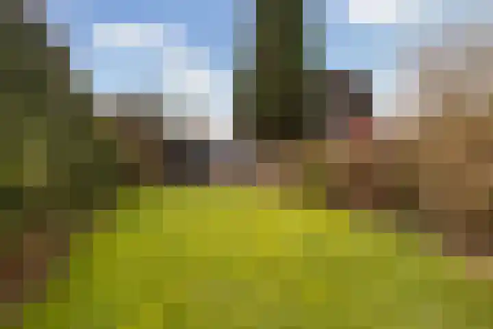 De Zeilen 57 Buitenpost thumbnail 42