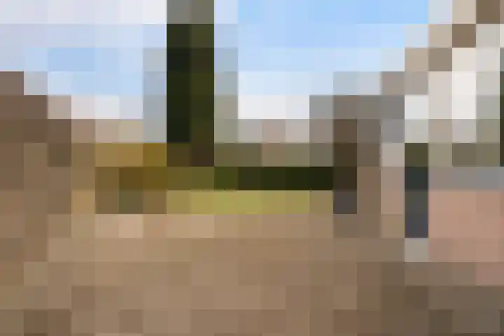 De Zeilen 57 Buitenpost thumbnail 43