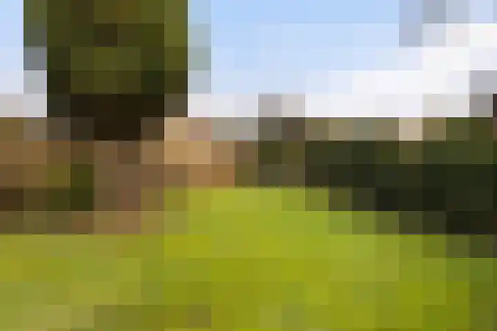 De Zeilen 57 Buitenpost thumbnail 44