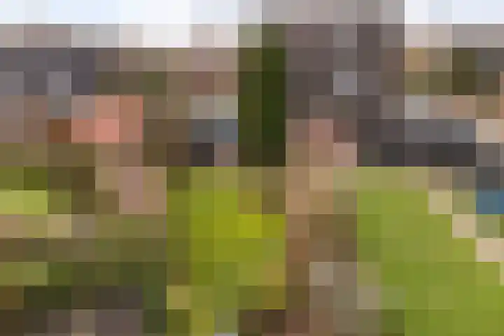 De Zeilen 57 Buitenpost thumbnail 45