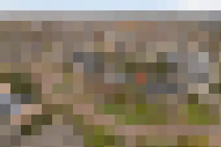 De Zeilen 57 Buitenpost thumbnail 5