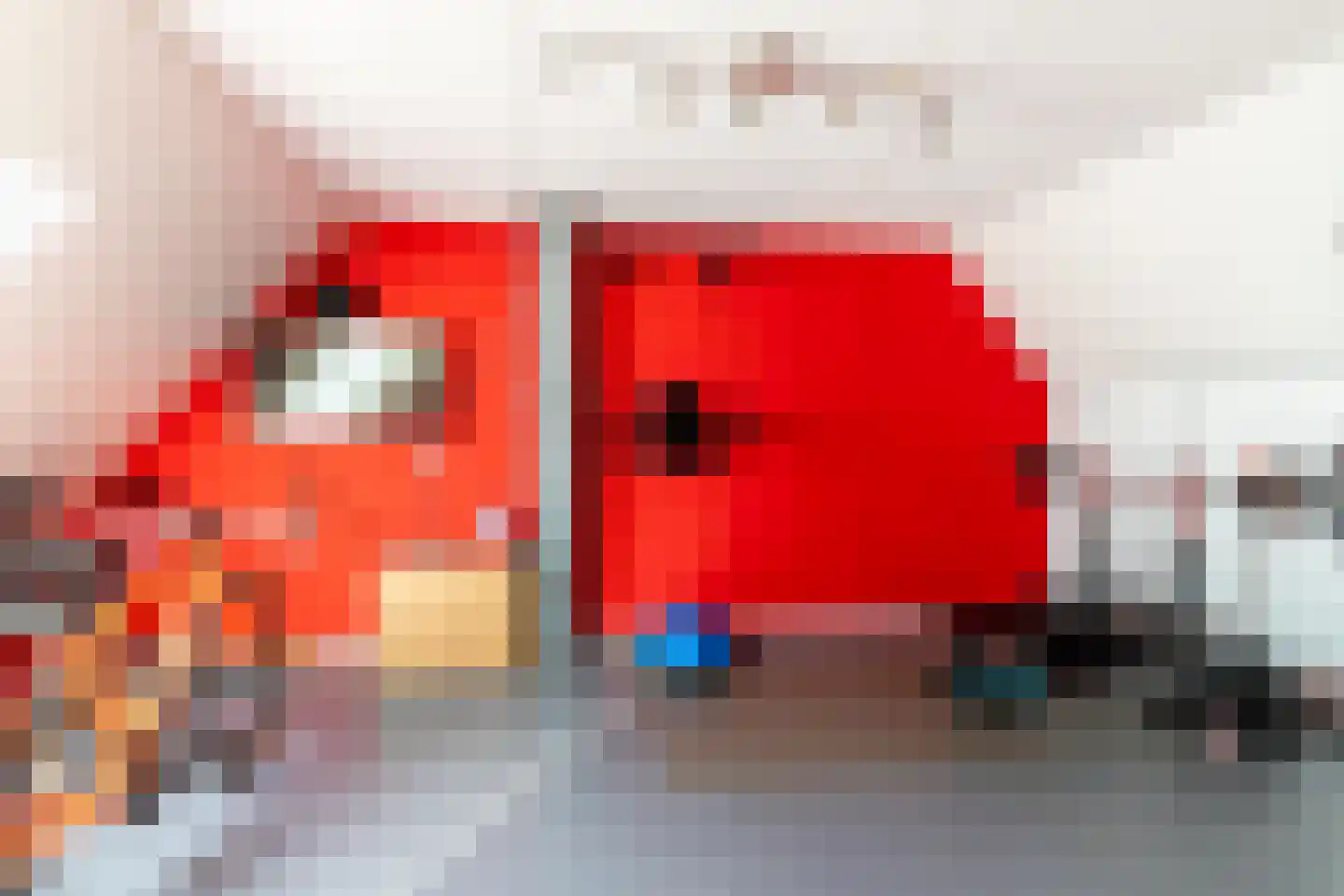 de Zeilen 6 Oirschot thumbnail 28