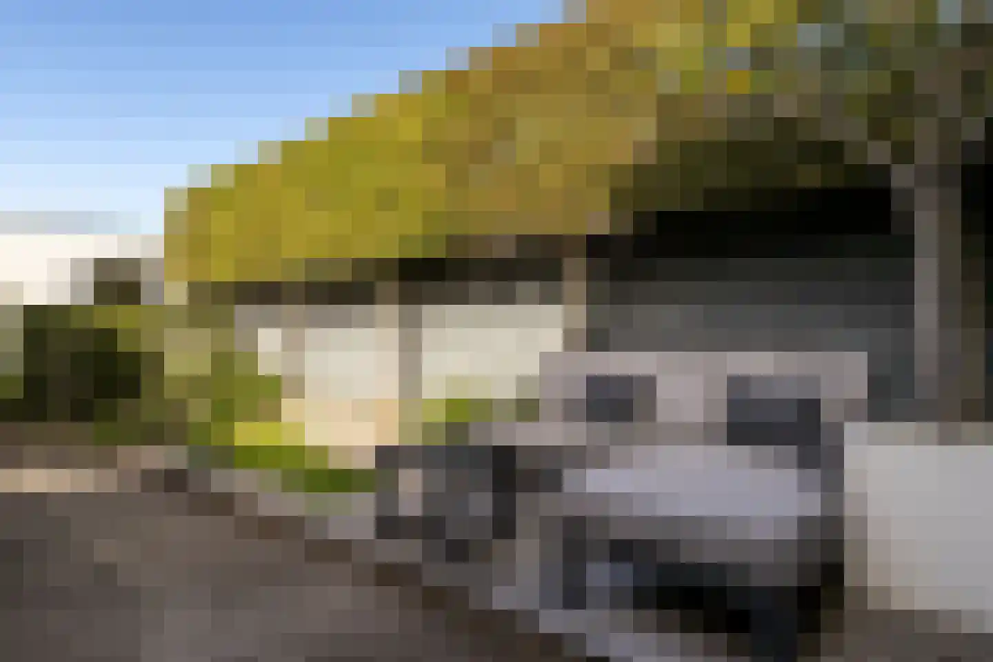 de Zeilen 6 Oirschot thumbnail 30