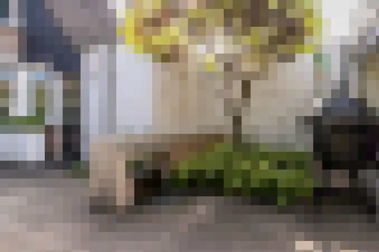 de Zeilen 6 Oirschot thumbnail 32