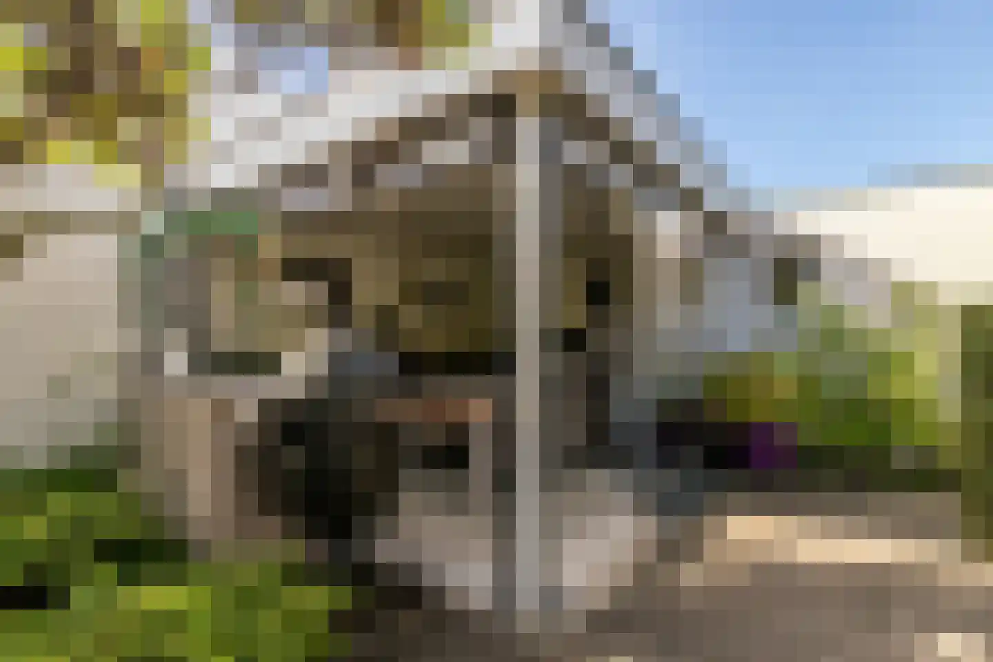de Zeilen 6 Oirschot thumbnail 33