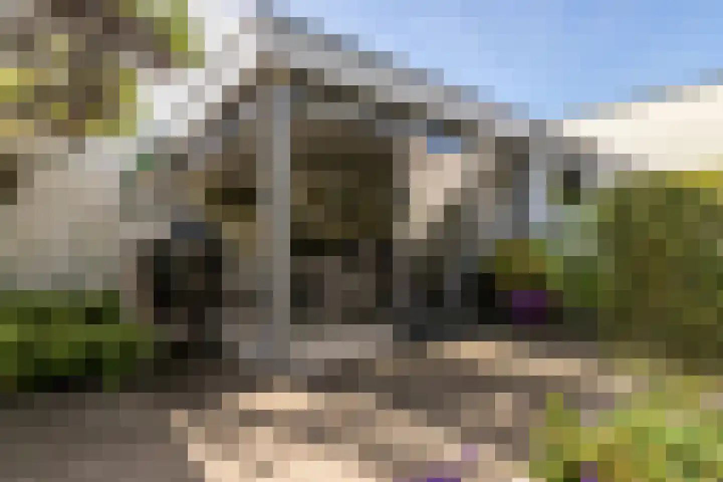 de Zeilen 6 Oirschot thumbnail 34