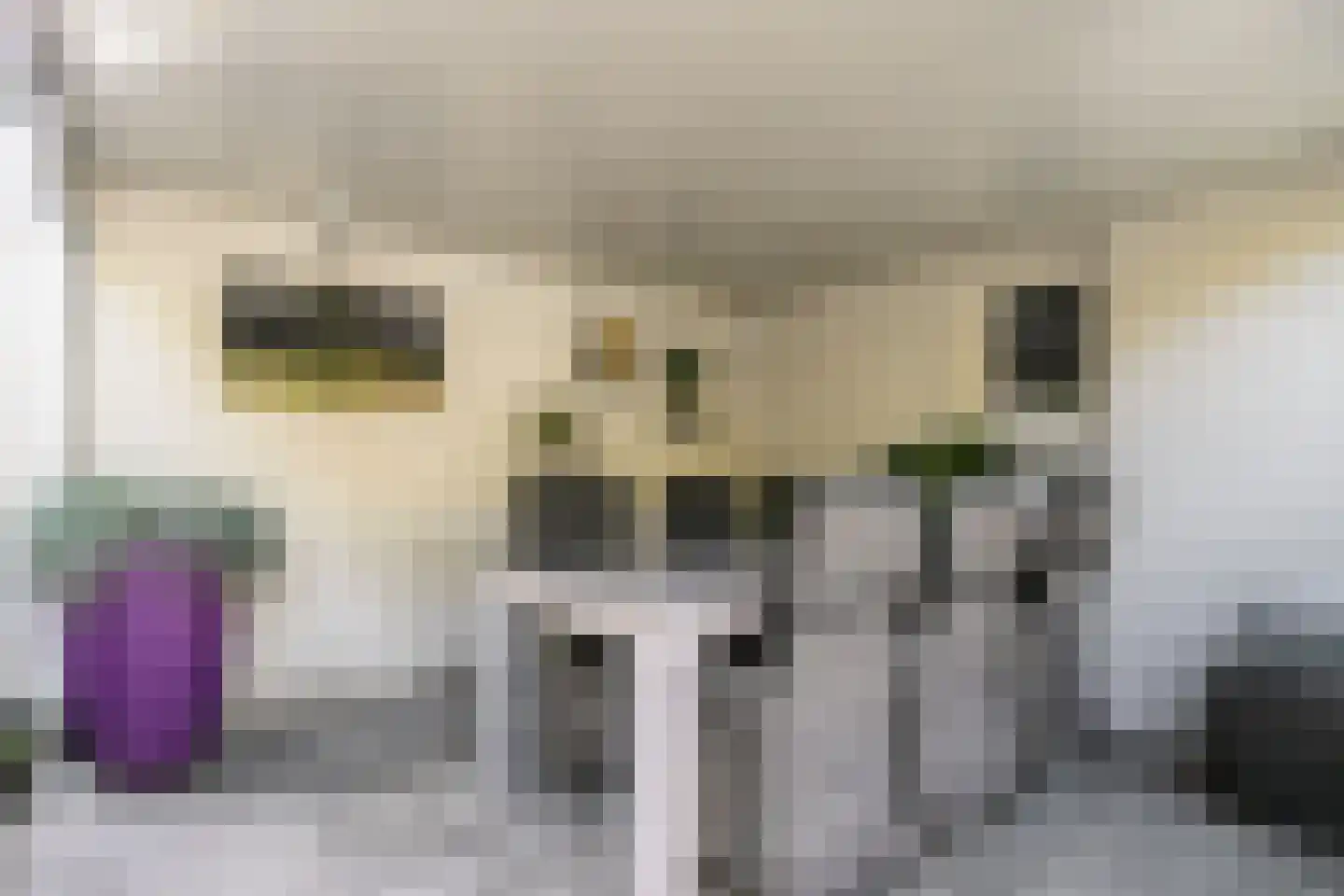 de Zeilen 6 Oirschot thumbnail 35