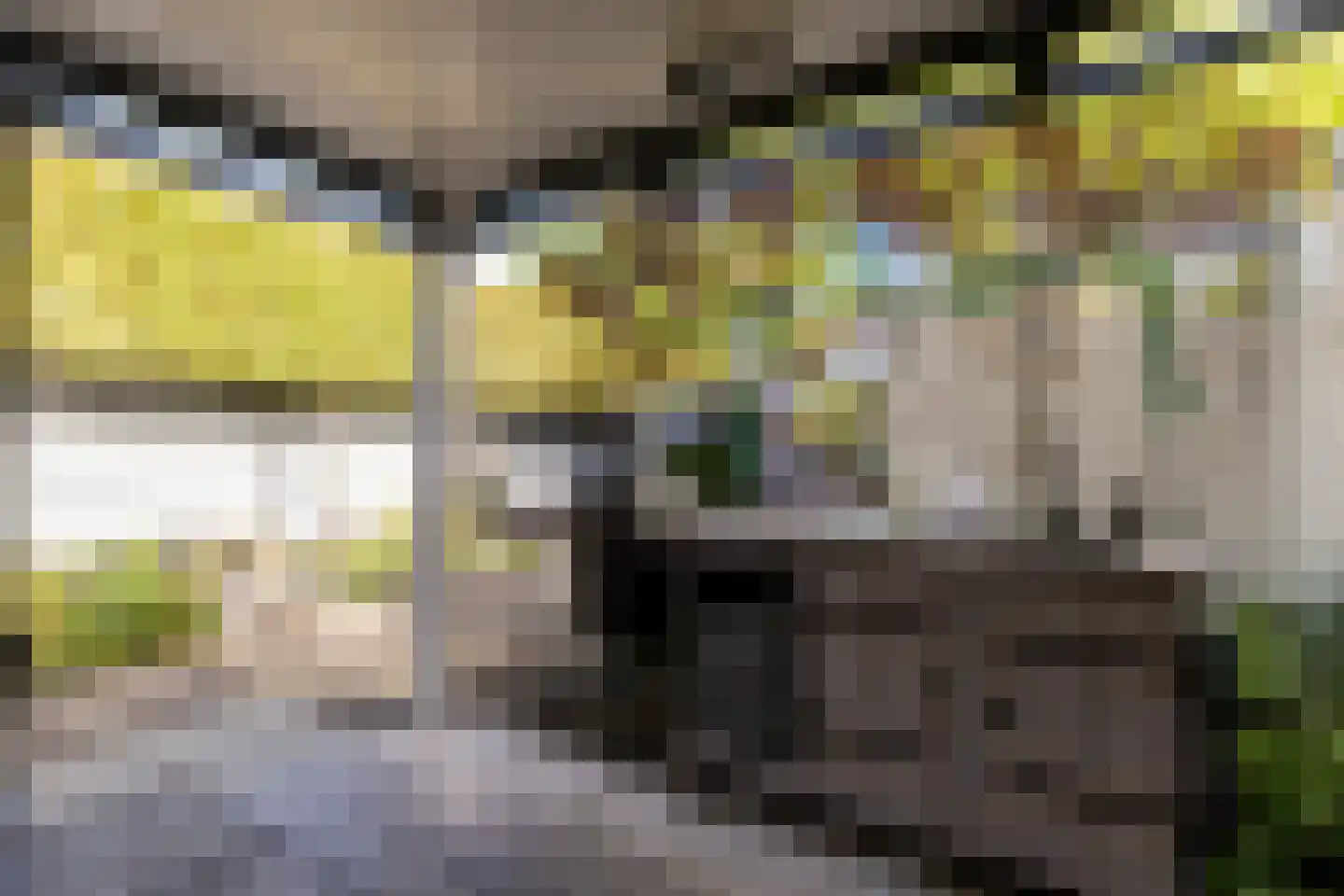 de Zeilen 6 Oirschot thumbnail 36