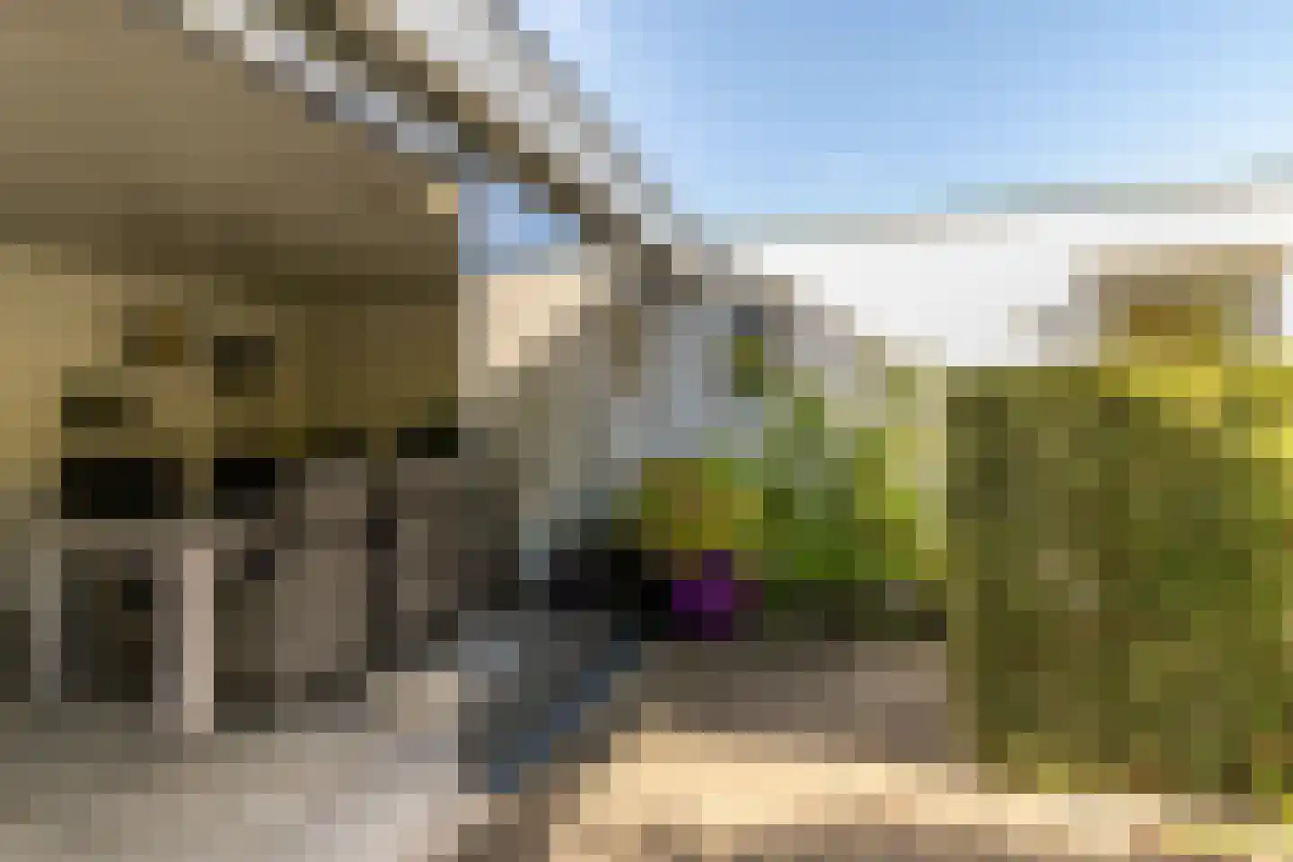 de Zeilen 6 Oirschot thumbnail 37