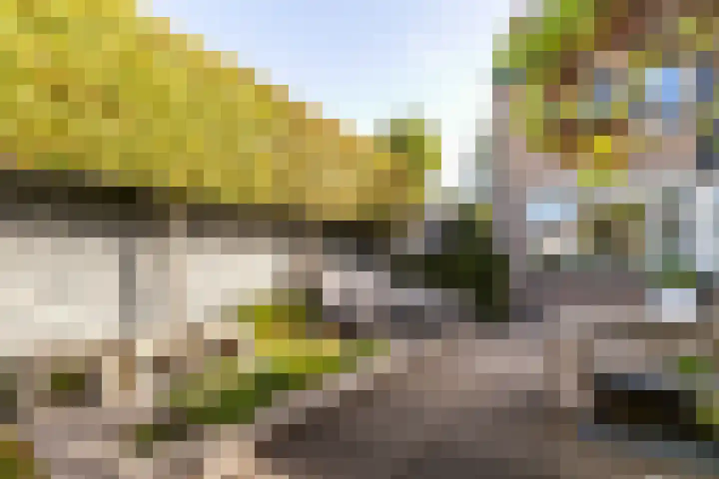 de Zeilen 6 Oirschot thumbnail 39