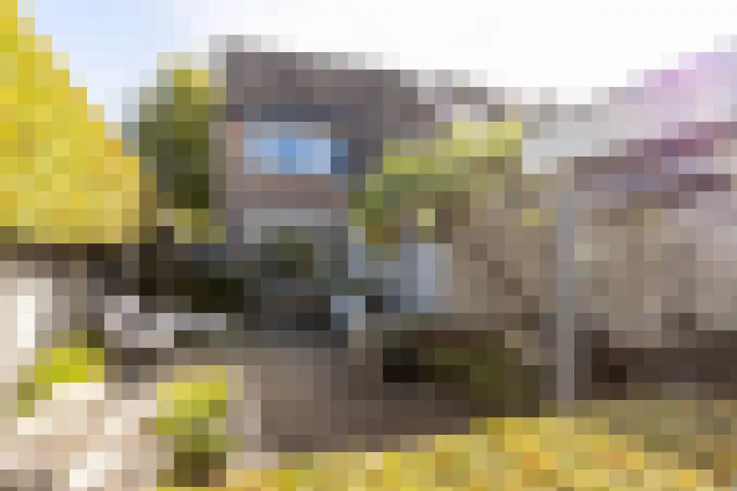 de Zeilen 6 Oirschot thumbnail 42