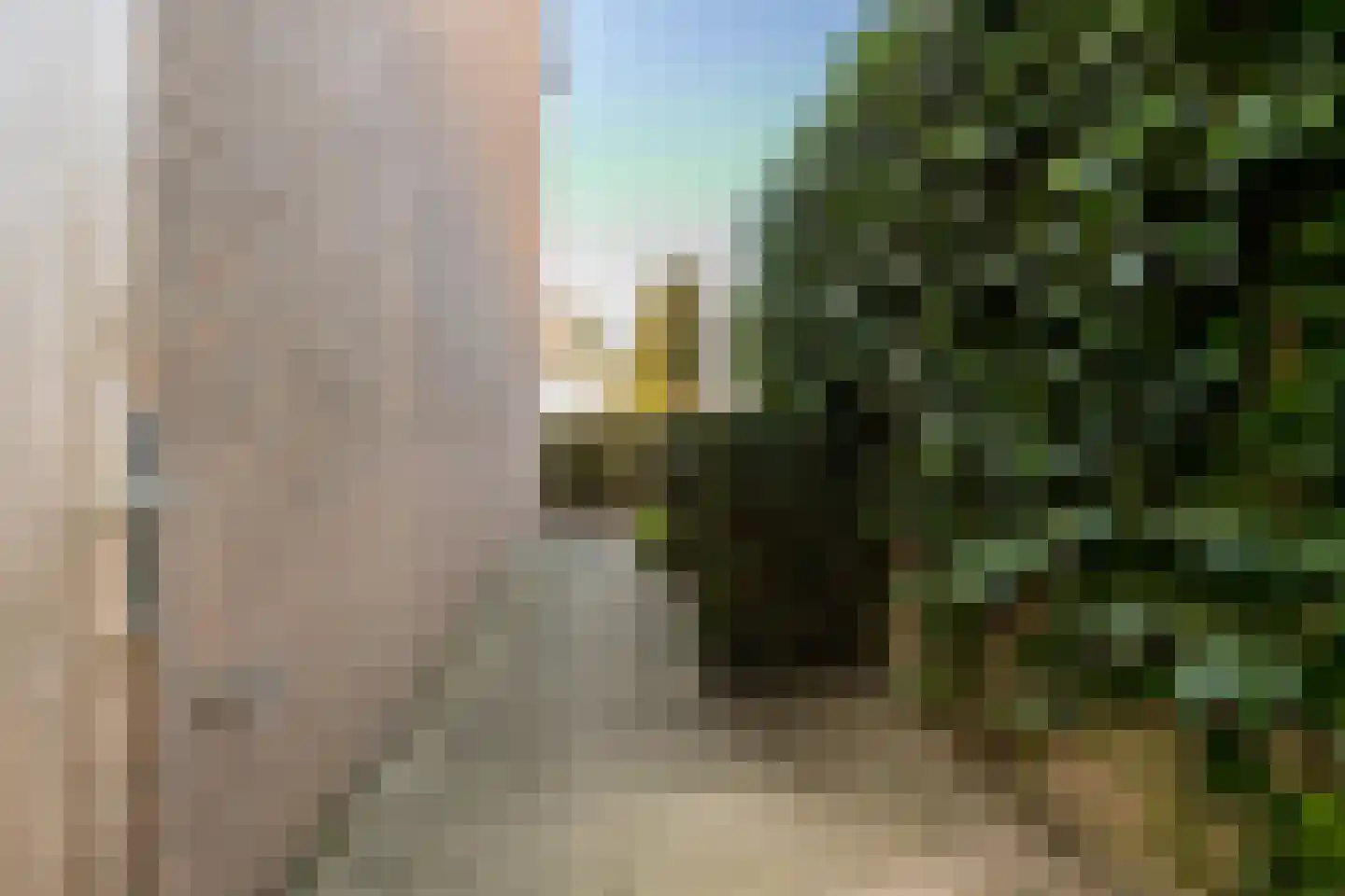 de Zeilen 6 Oirschot thumbnail 44