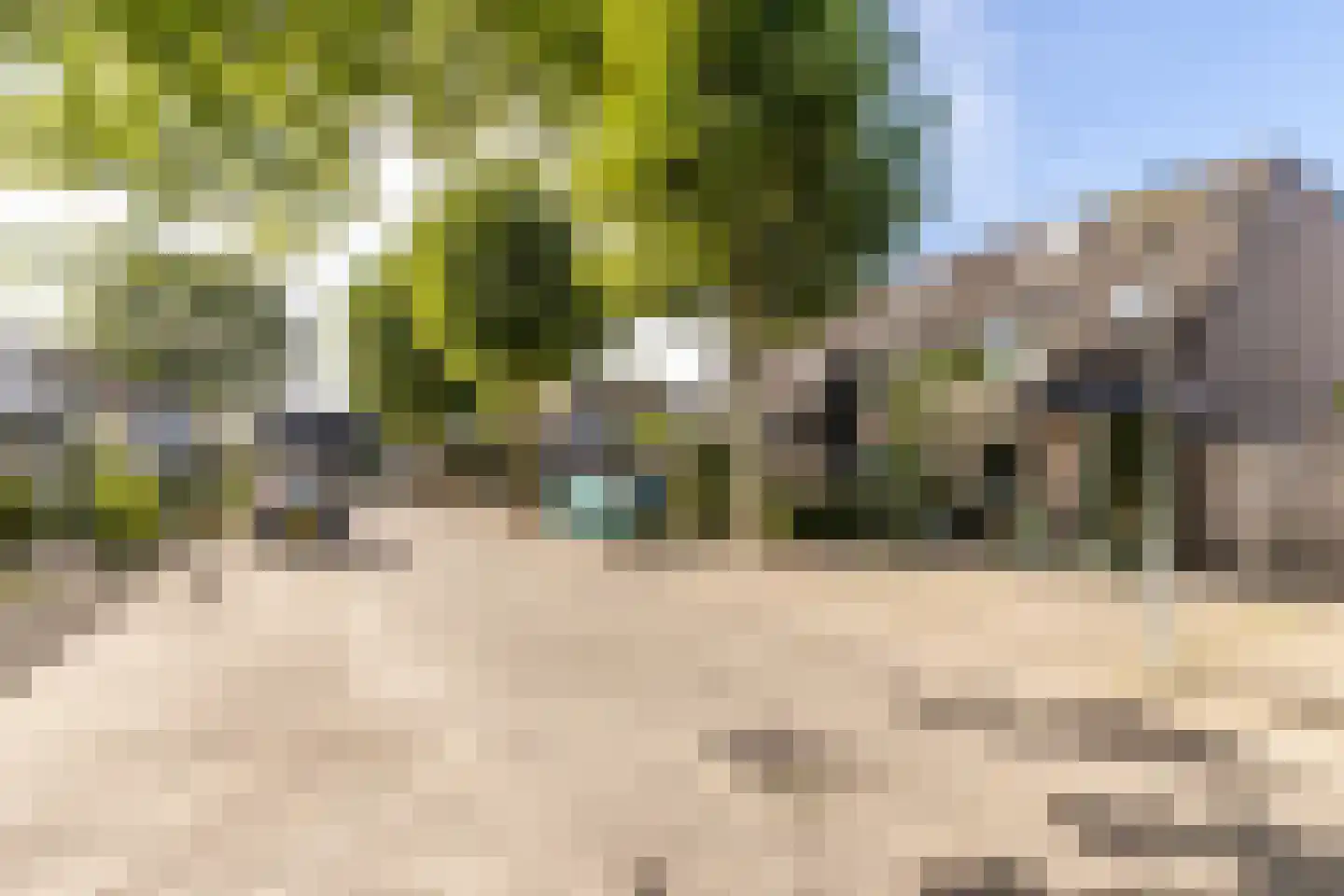 de Zeilen 6 Oirschot thumbnail 48