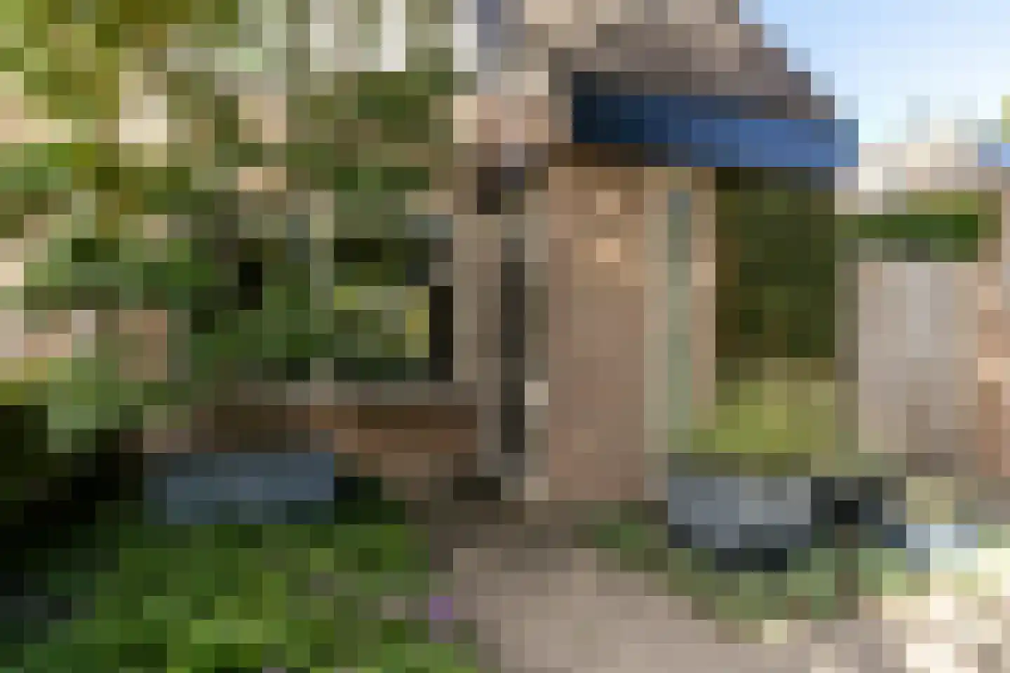 de Zeilen 6 Oirschot thumbnail 6