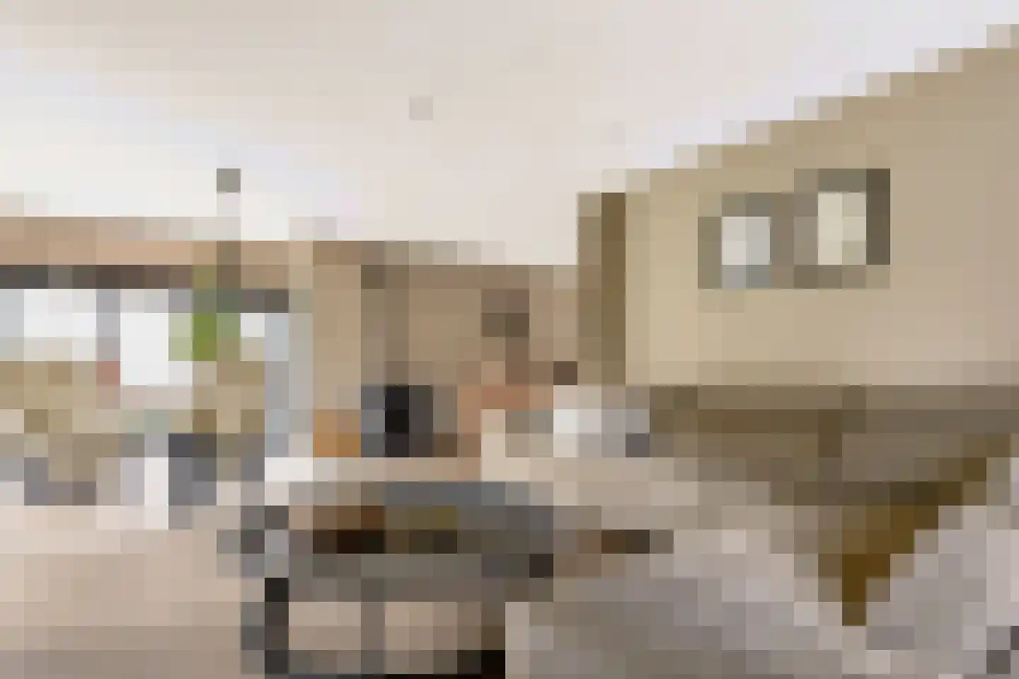 De Zeilen 65 Buitenpost thumbnail 12