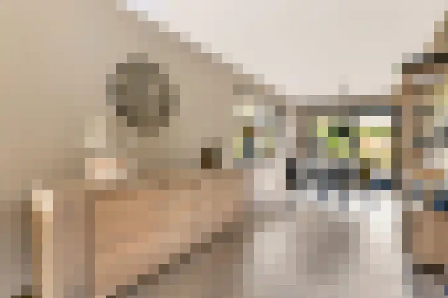 De Zeilen 65 Buitenpost thumbnail 15
