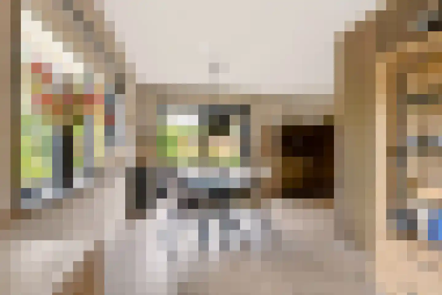 De Zeilen 65 Buitenpost thumbnail 16
